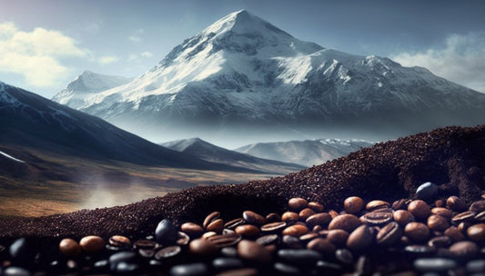 HOW TO KEEP COFFEE BEANS AT PEAK FRESHNESS